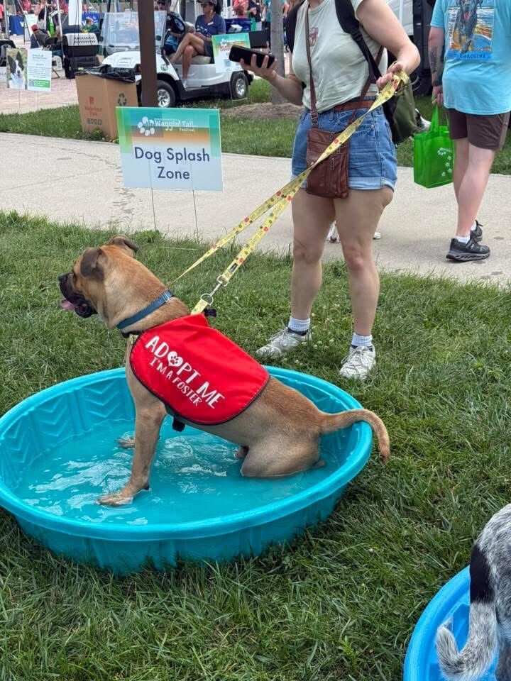 Volunteer time