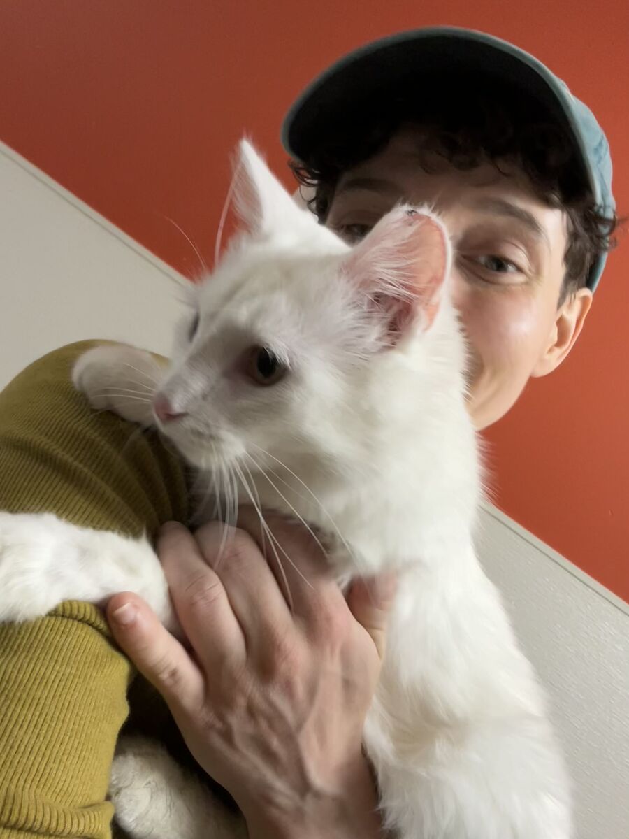 At the shelter