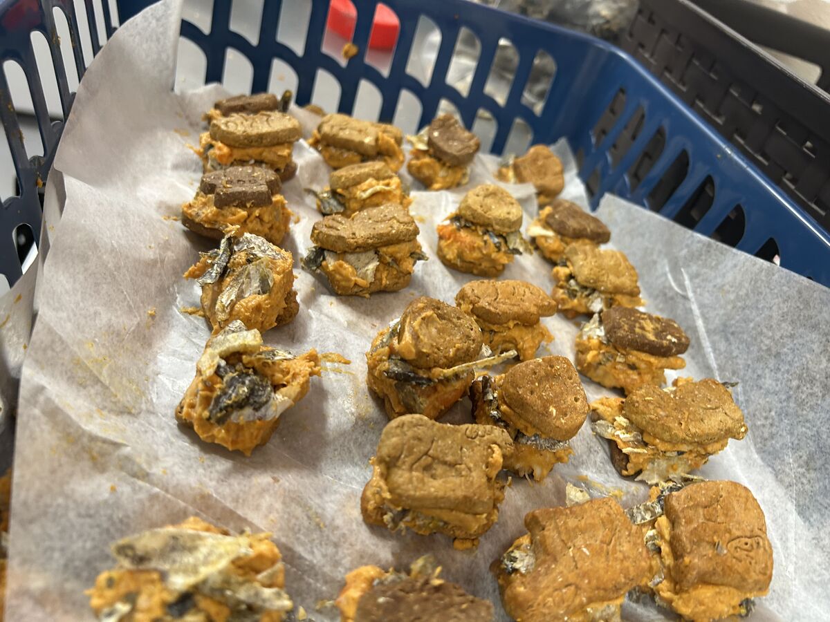 Making enrichment treats
