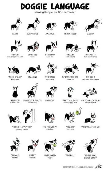 Dog body language chart