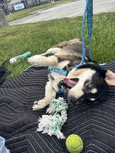 Bud cuddling