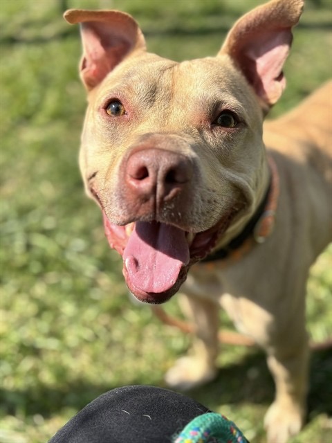 Uriel Lucky enjoying the day