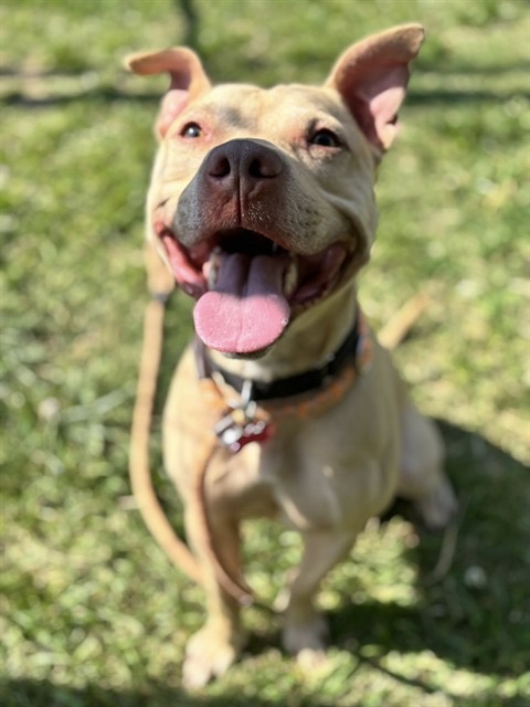 Uriel Lucky being a good boy