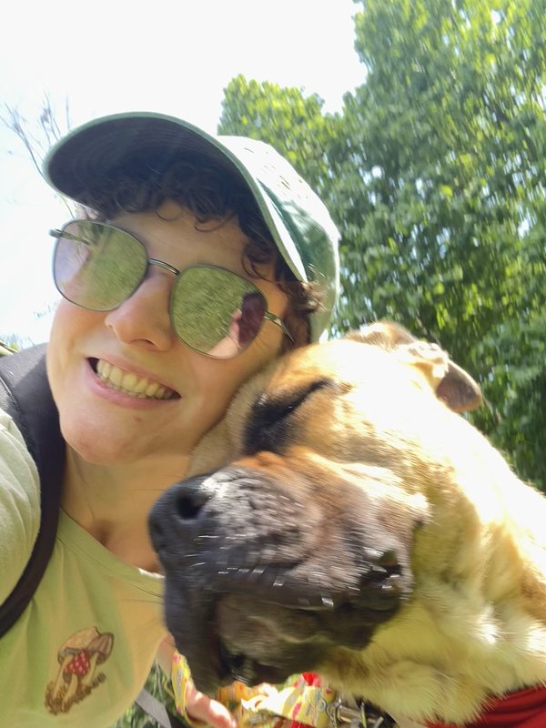 Dog stroll