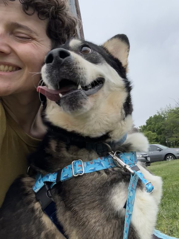Happy pup