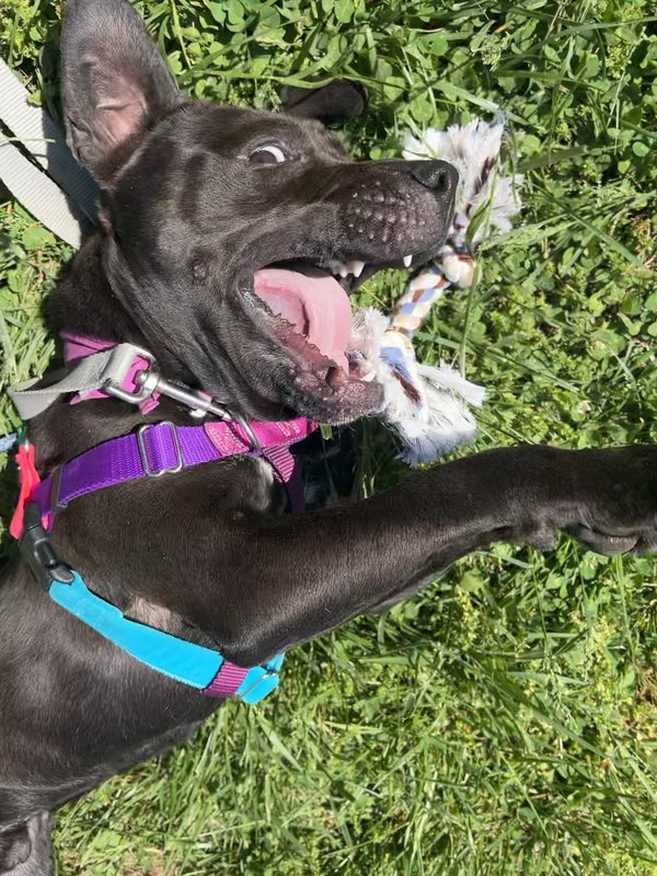 Walk time