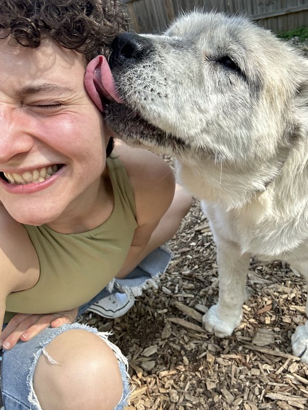 Happy pup